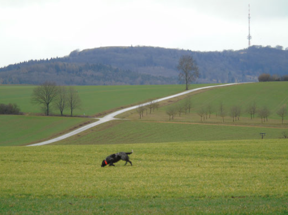 Bildschirmfoto 2018-11-09 um 09.21.14